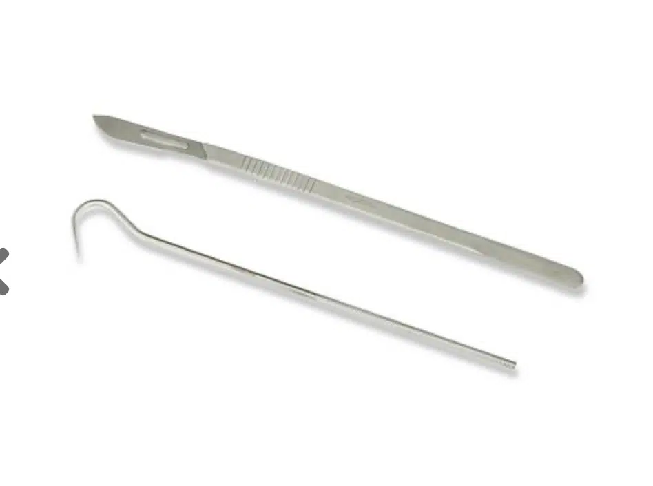 Birds Nest Toolkit - Image 2